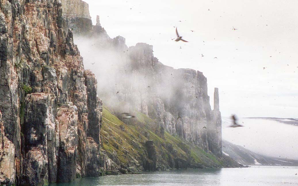 Im Lomfjord - Alkefjellet