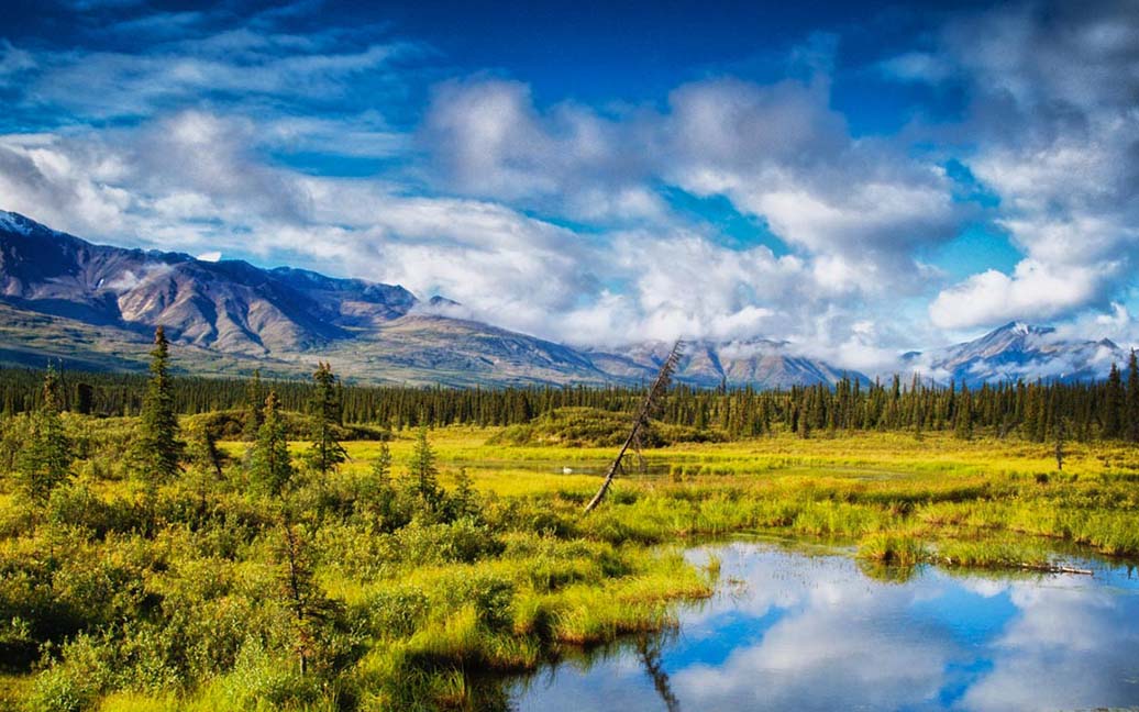 Denali Highway – Fahrt via Cantwell zum Tangle Lake