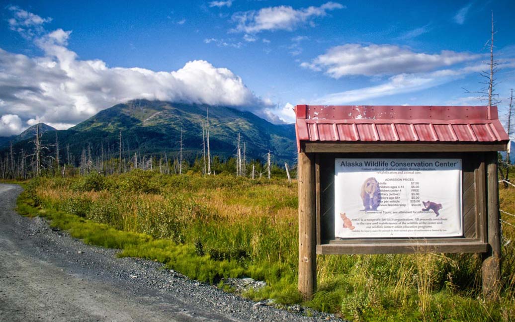 Wildtiere im Alaska Wildlife Conservation Center - AWCC