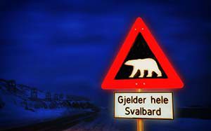 Das einzig wahre Eisbärwarnschild steht in Longyearbyen – ein Verkehrsschild mit einem weißen Bären auf schwarzem Grund :-)